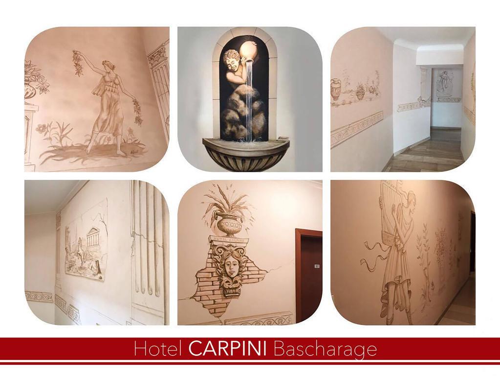 Carpini